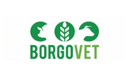 Borgovet